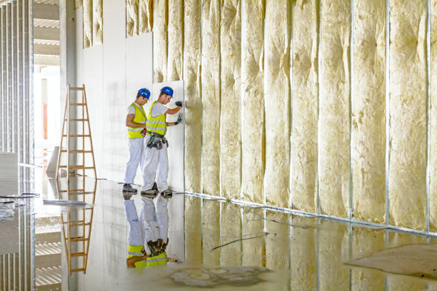 Best Insulation for Specific Applications in Clara City, MN